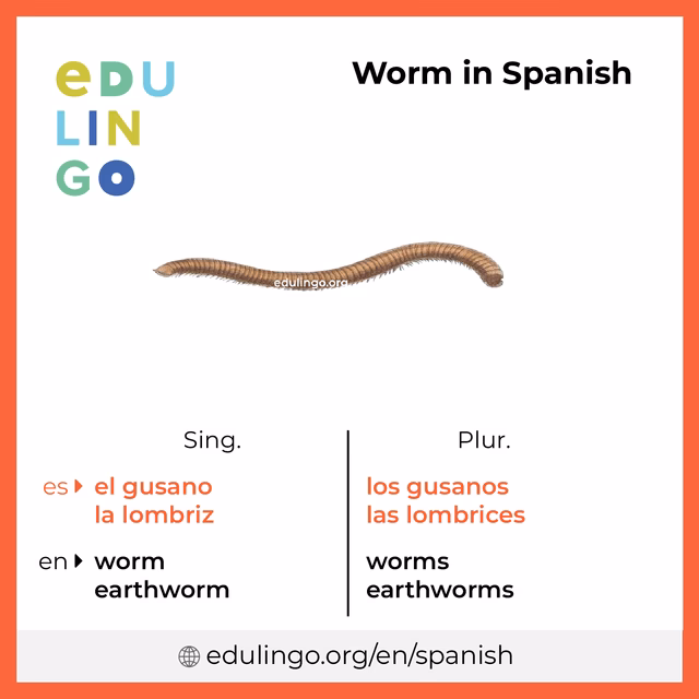 What does worm mean?
