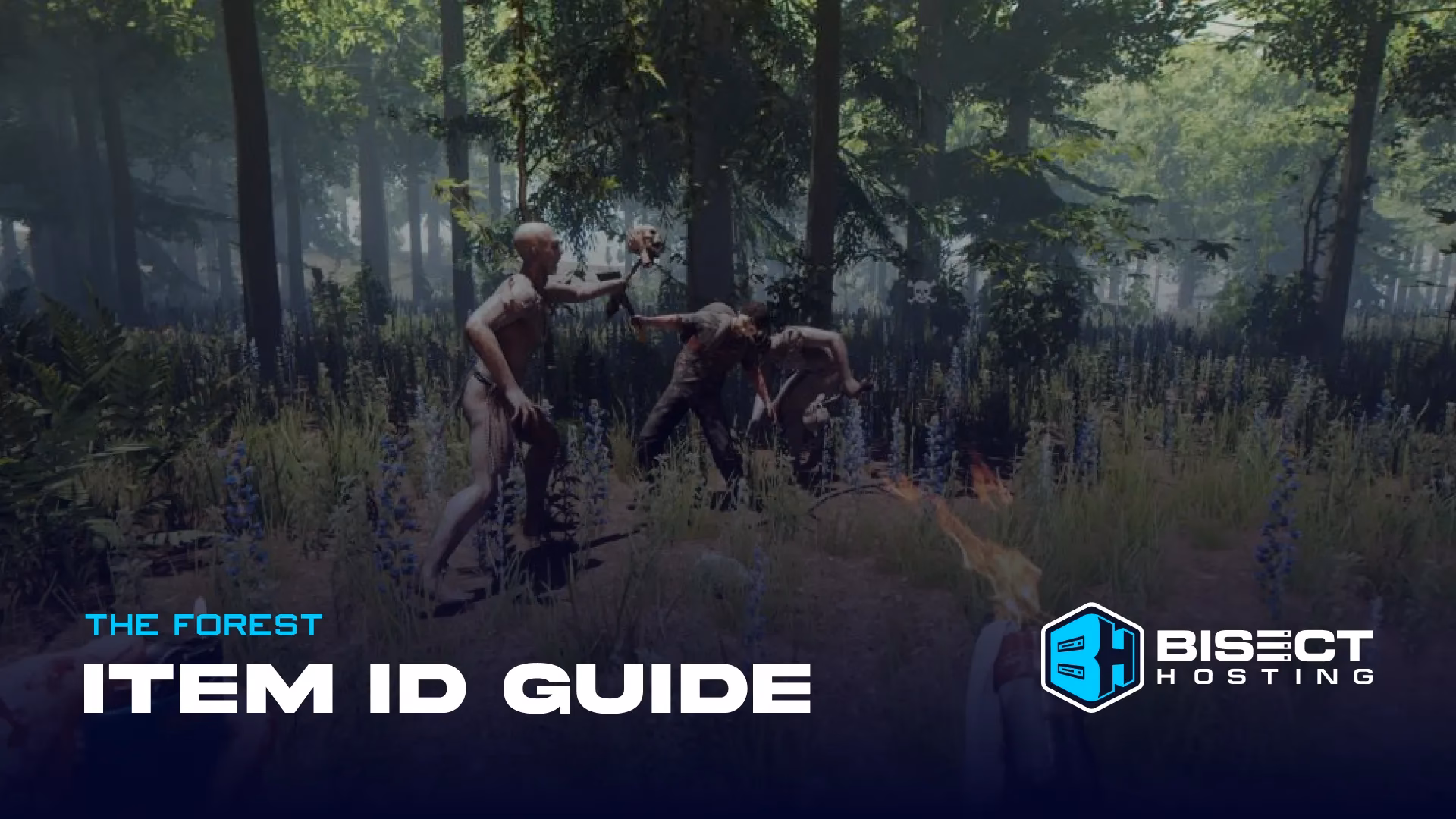 What is a forest spawn point?