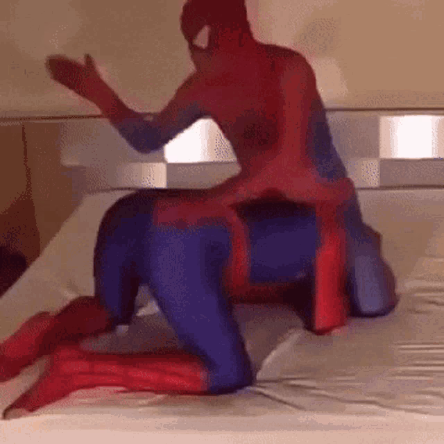 What is a Spiderman meme?