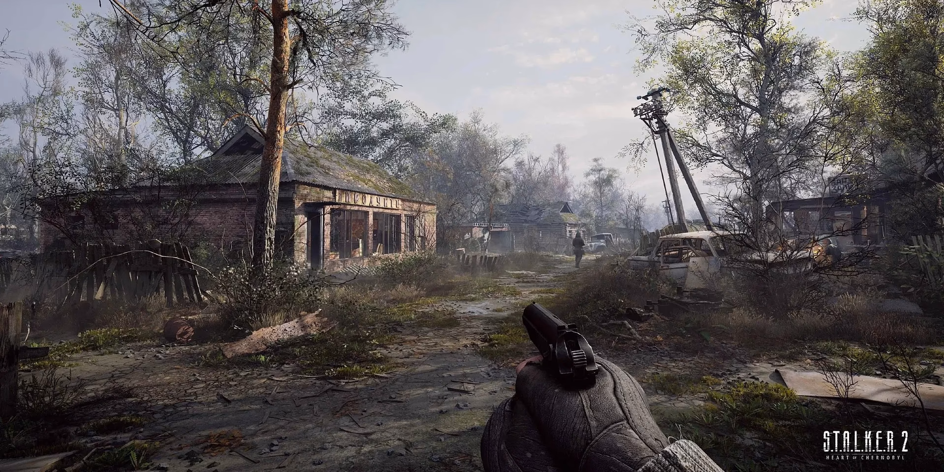 Does Stalker have co-op?