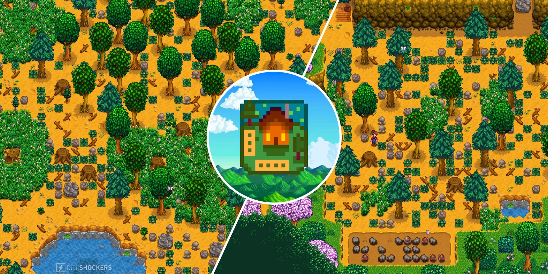 What is the best farm in Stardew Valley?