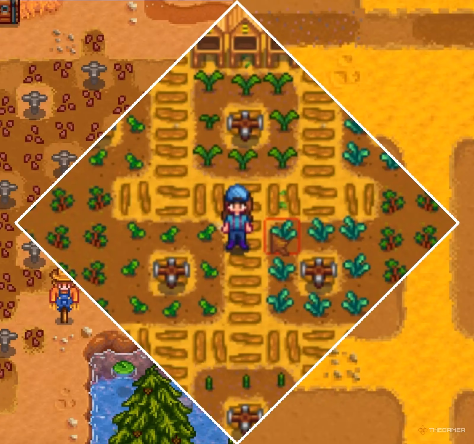 Can you buy iridium sprinklers in Stardew Valley?