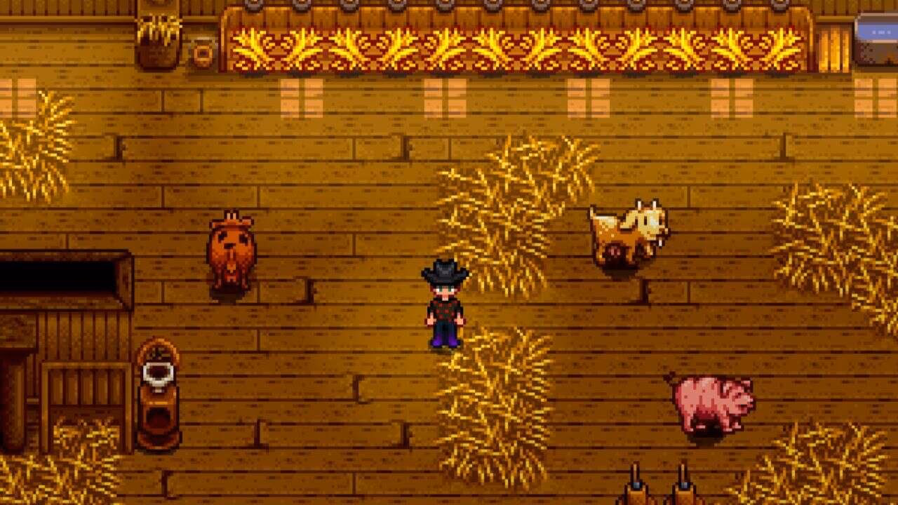 What is a Stardew Valley barn?