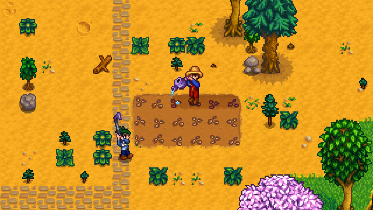 ¿Qué roles se pueden establecer En Stardew Valley?