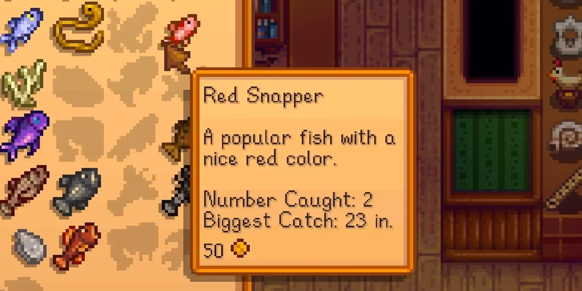 Can you catch a red snapper in Stardew Valley?