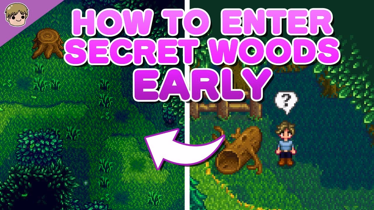 Where can I find a lot of wood In Stardew Valley?