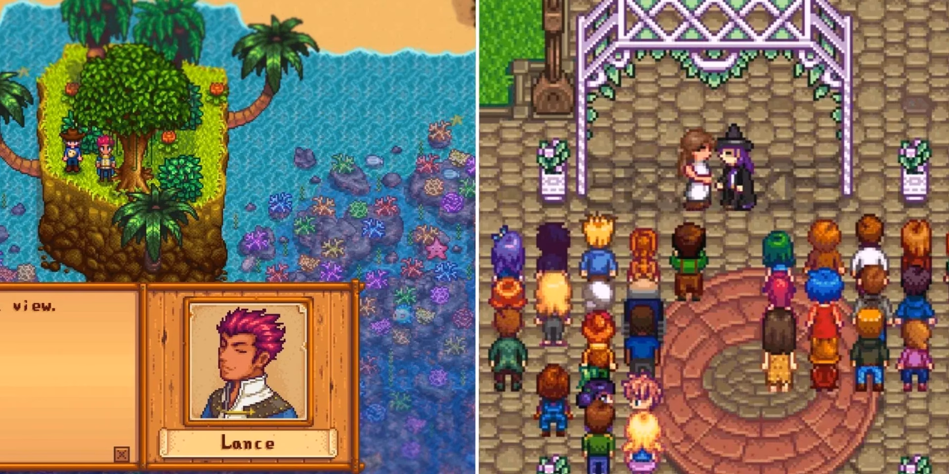 What can I do with Stardew Valley NPC?
