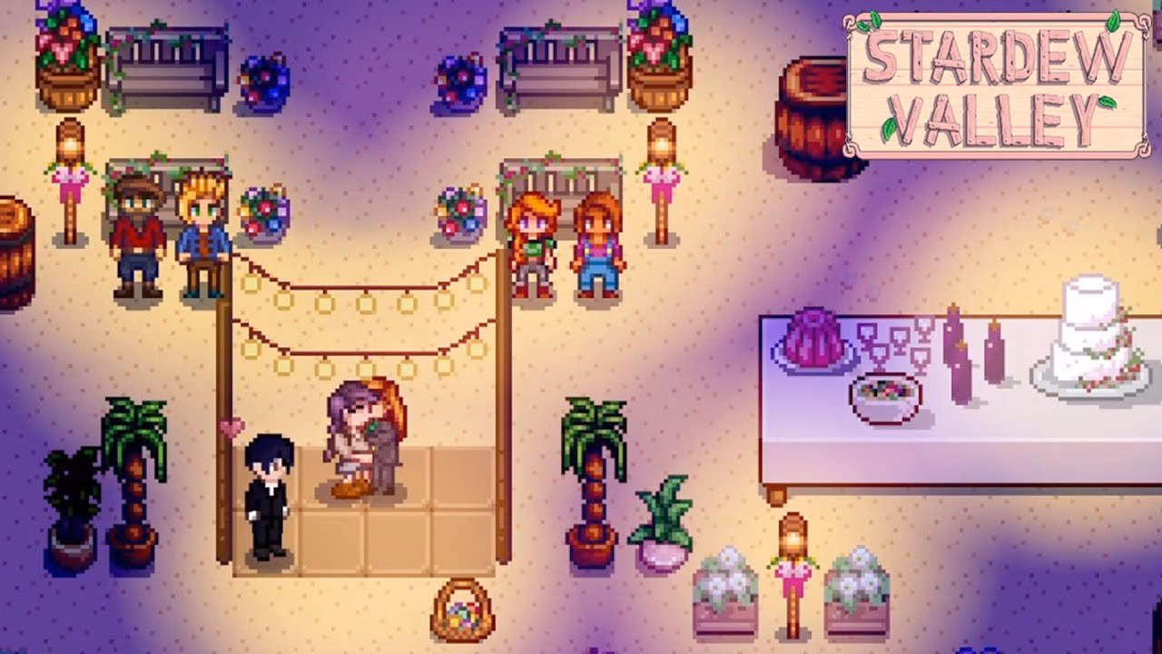 What can I do with Stardew Valley NPC?