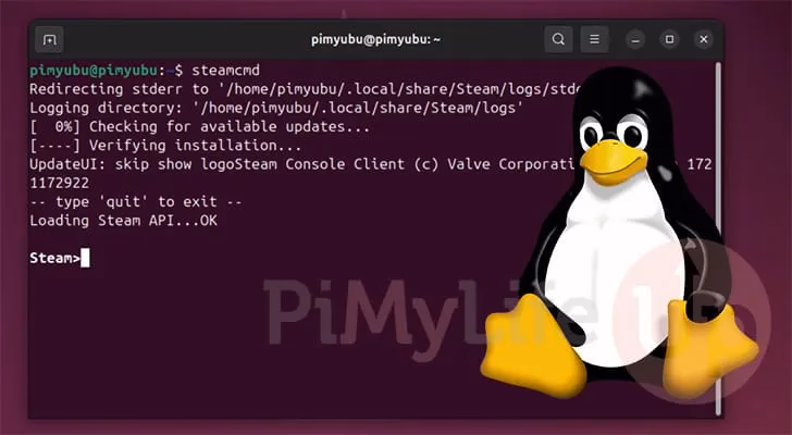 What is steamcmd?