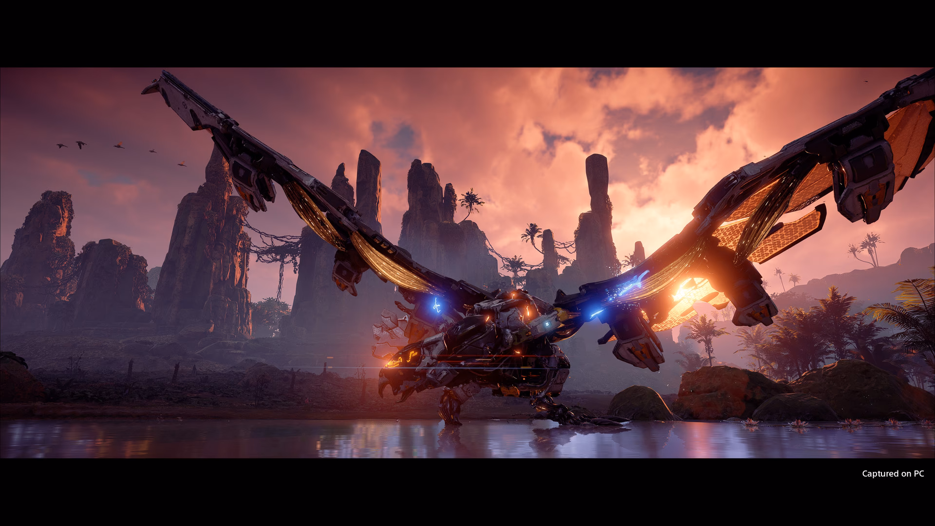 When does Horizon Zero Dawn release on Steam?