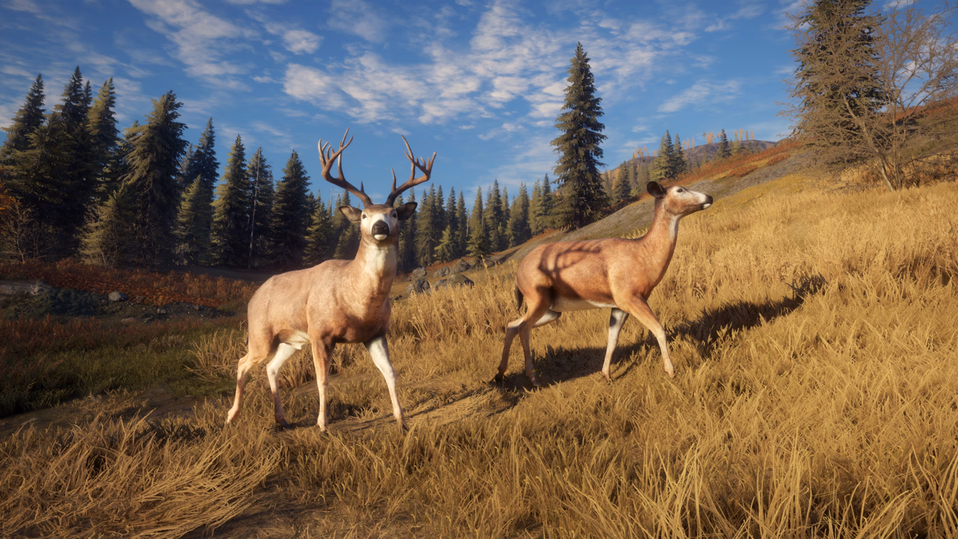 Is theHunter a free game?