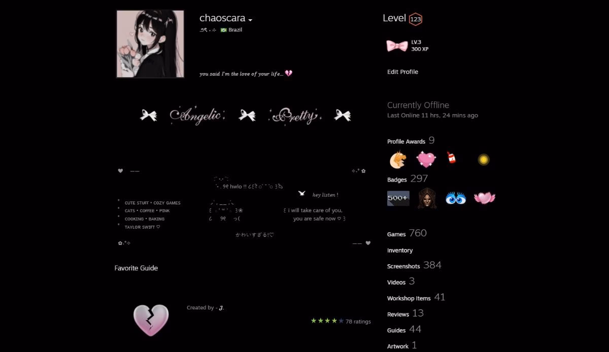 What should a Steam profile look like?