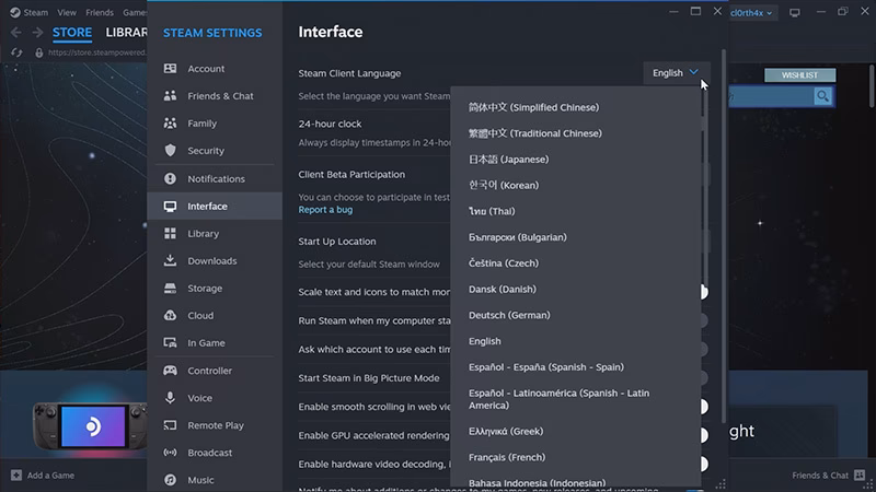 What are steam launch options?