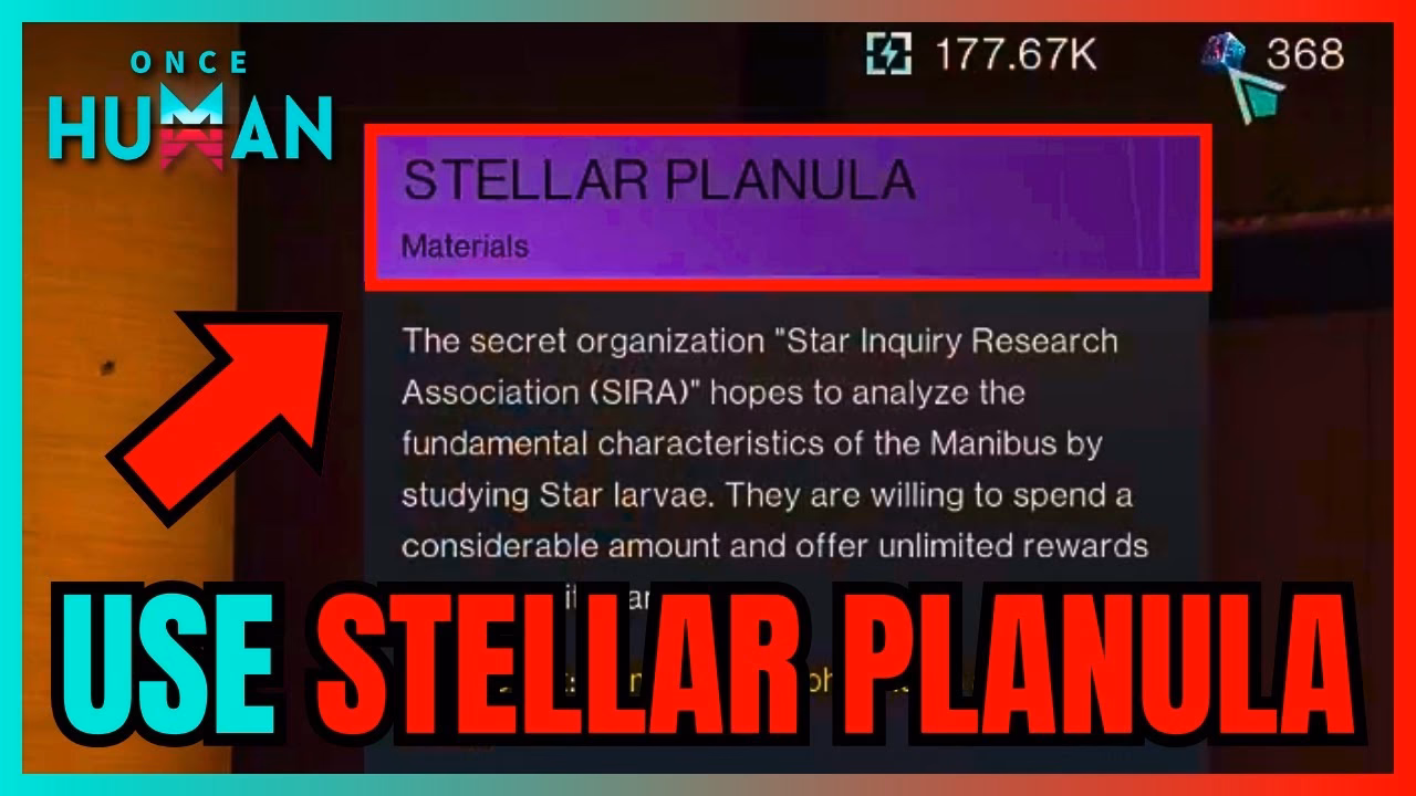 How do I get stellar planula?