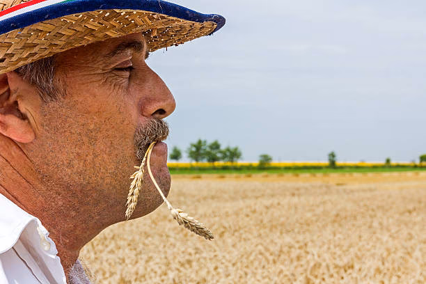 How does a straw work?