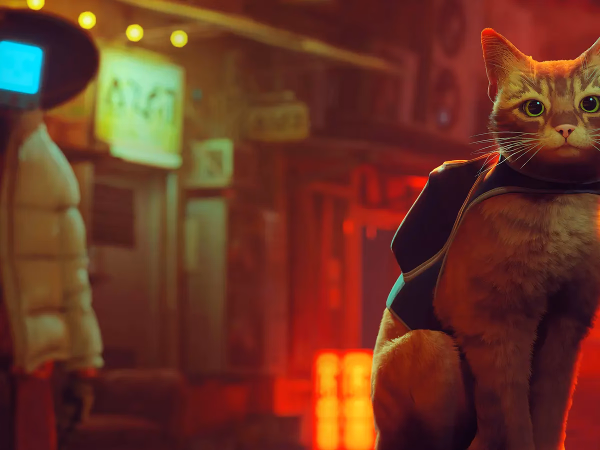 Can a stray cat escape a city?