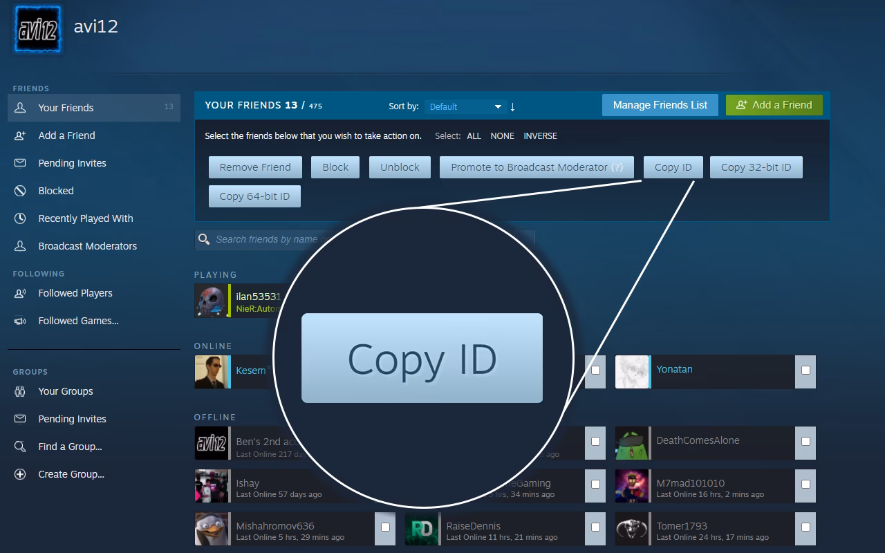 What is Steam ID & short URL?