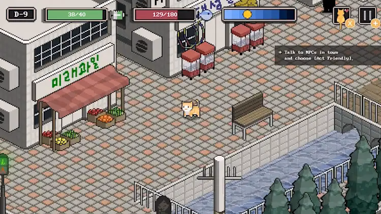 What is streetcat?