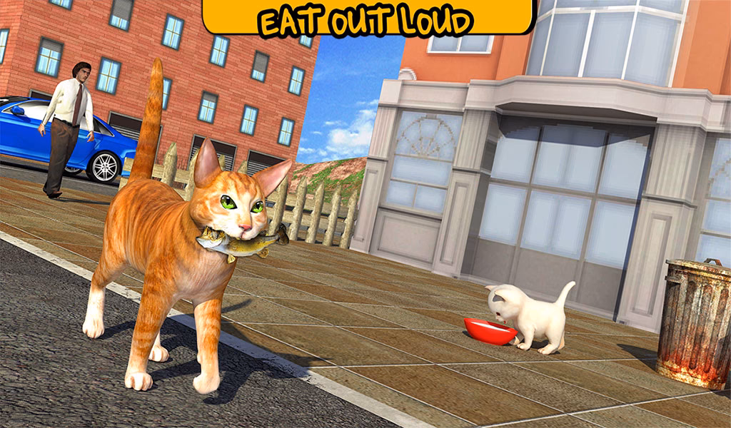 What are street cats also known as?