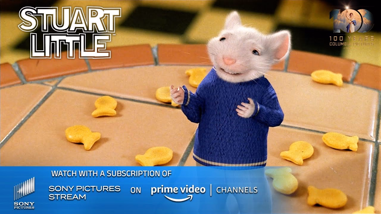 Who is Stuart Little?