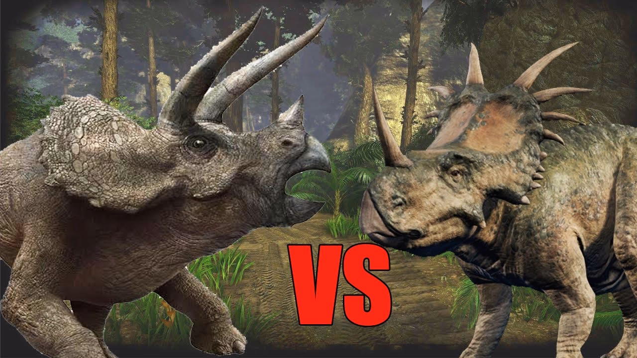 How big did Triceratops & Styracosaurus get?
