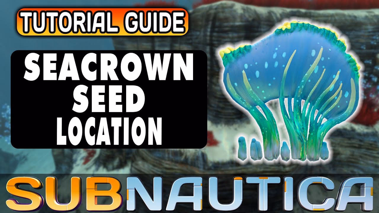 What items are in the Seeds category?