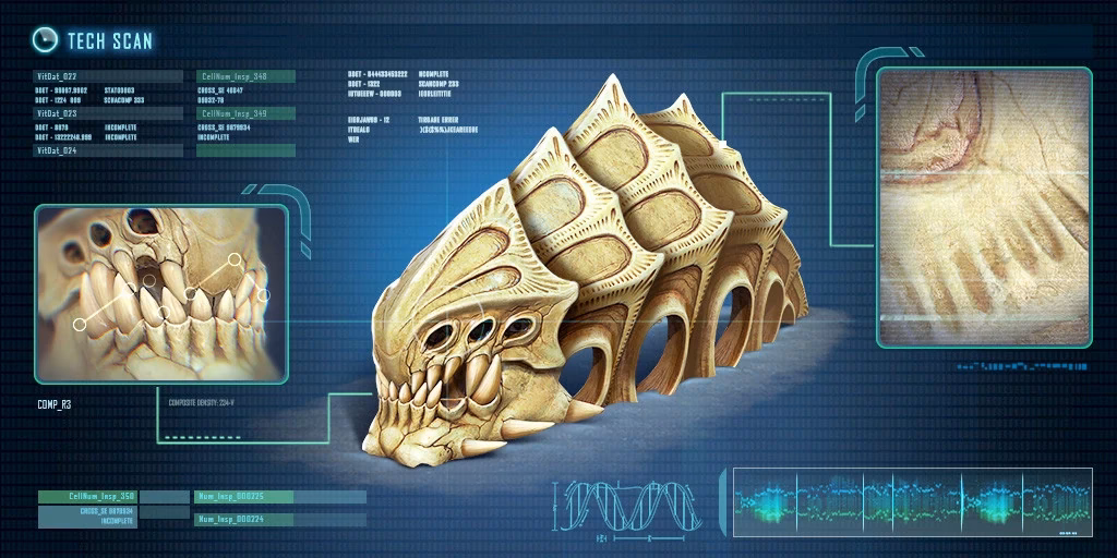 Where can I find the ancient skeleton?