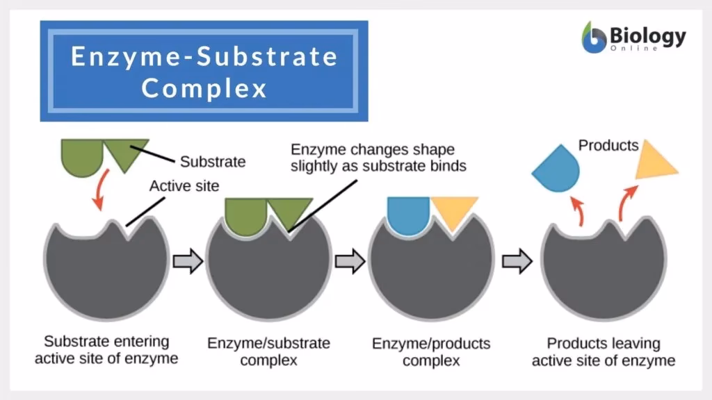 What is a substrate in coatings?