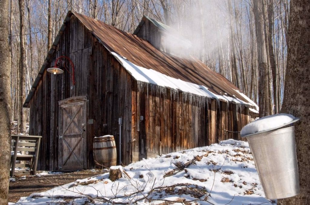 Why is 'the Sugar Shack' so popular?