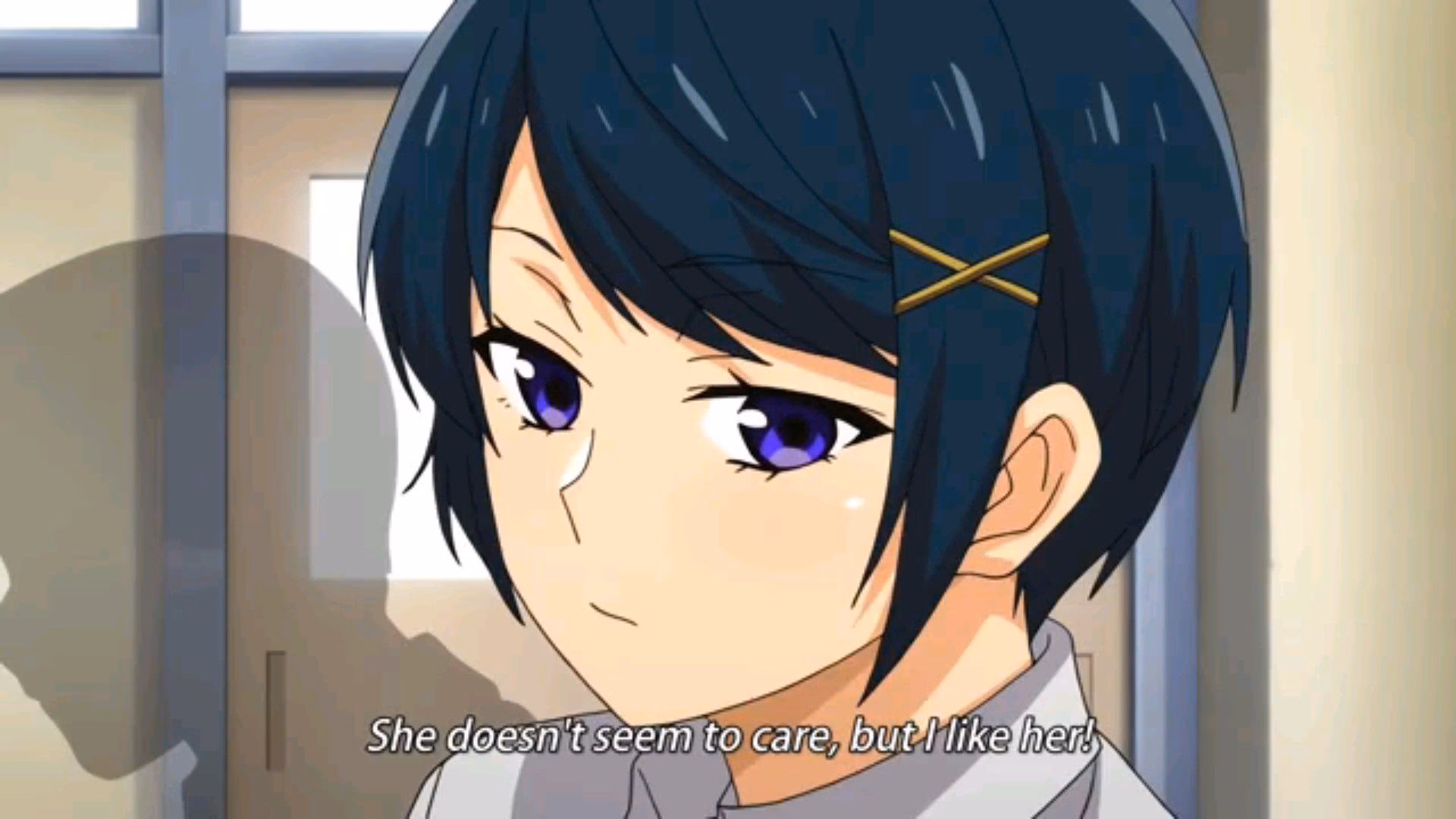 ¿Cuál es la diferencia entre Daisuki y Suki?
