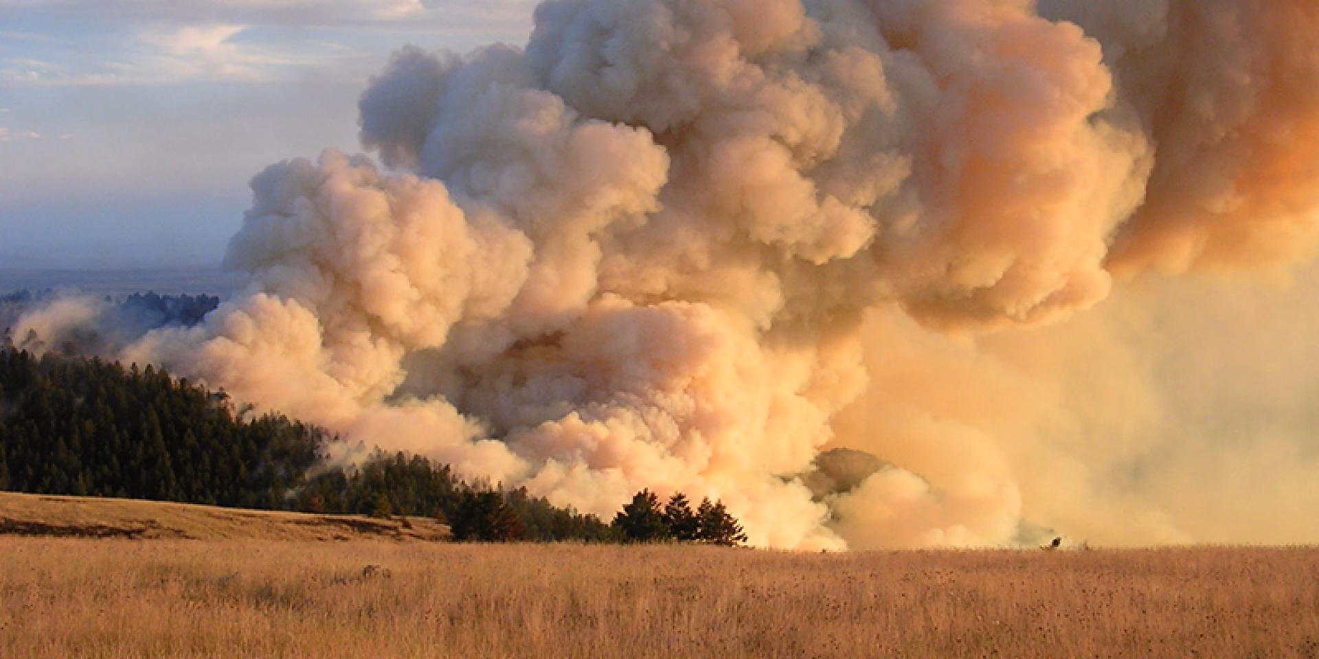 Is sulfur dioxide toxic to humans?