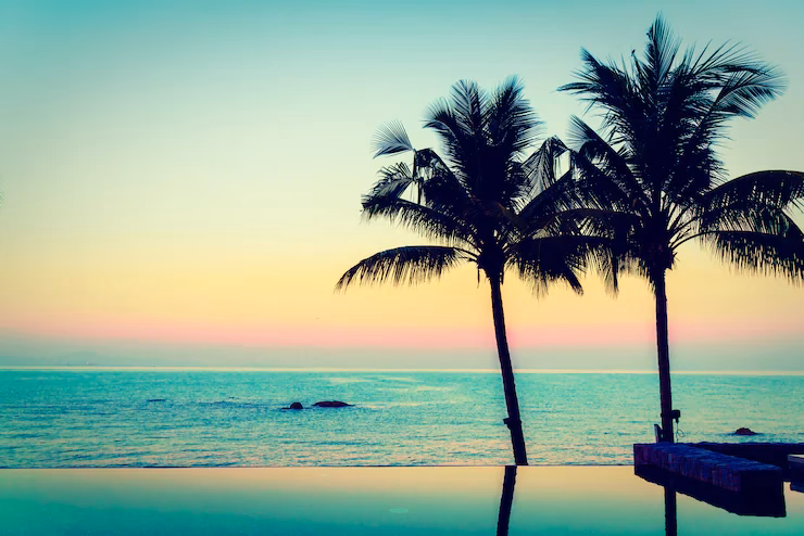 How many free summer PC wallpapers & HD wallpapers are there?