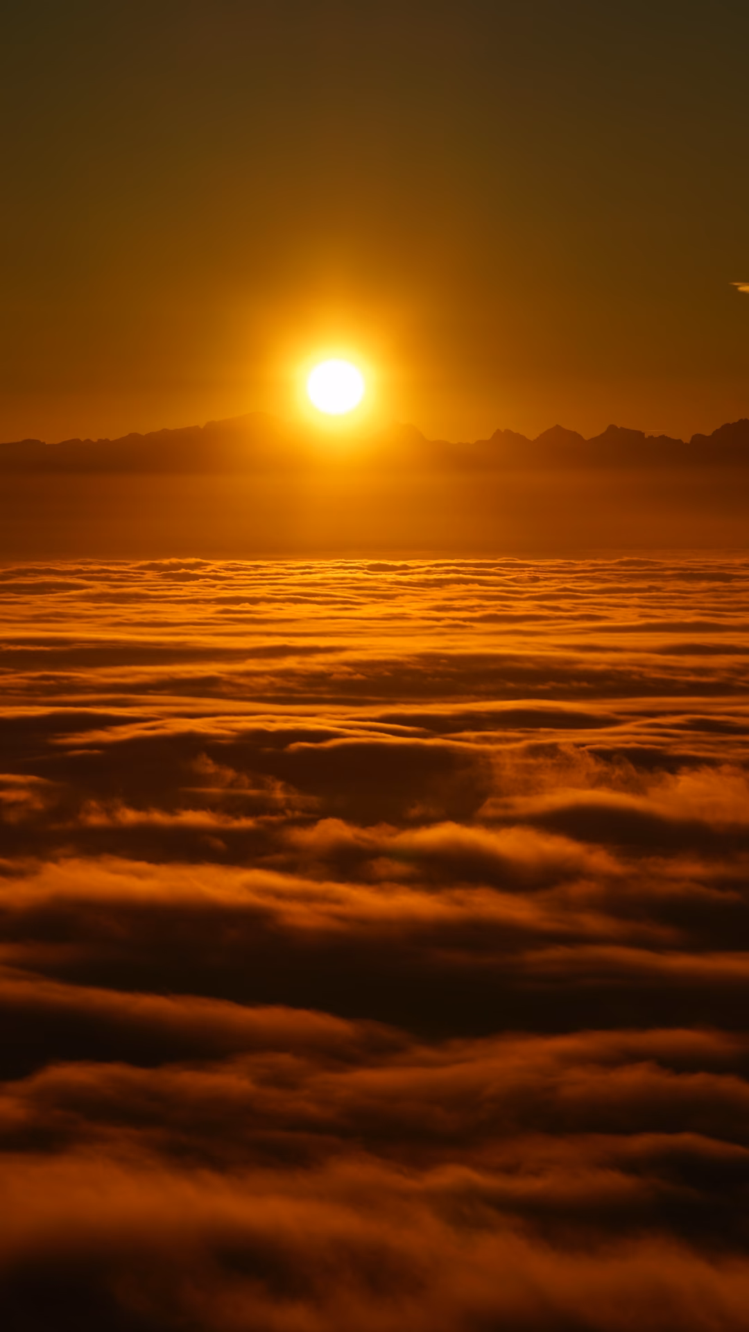 How do I download a wallpaper on Windows 10?