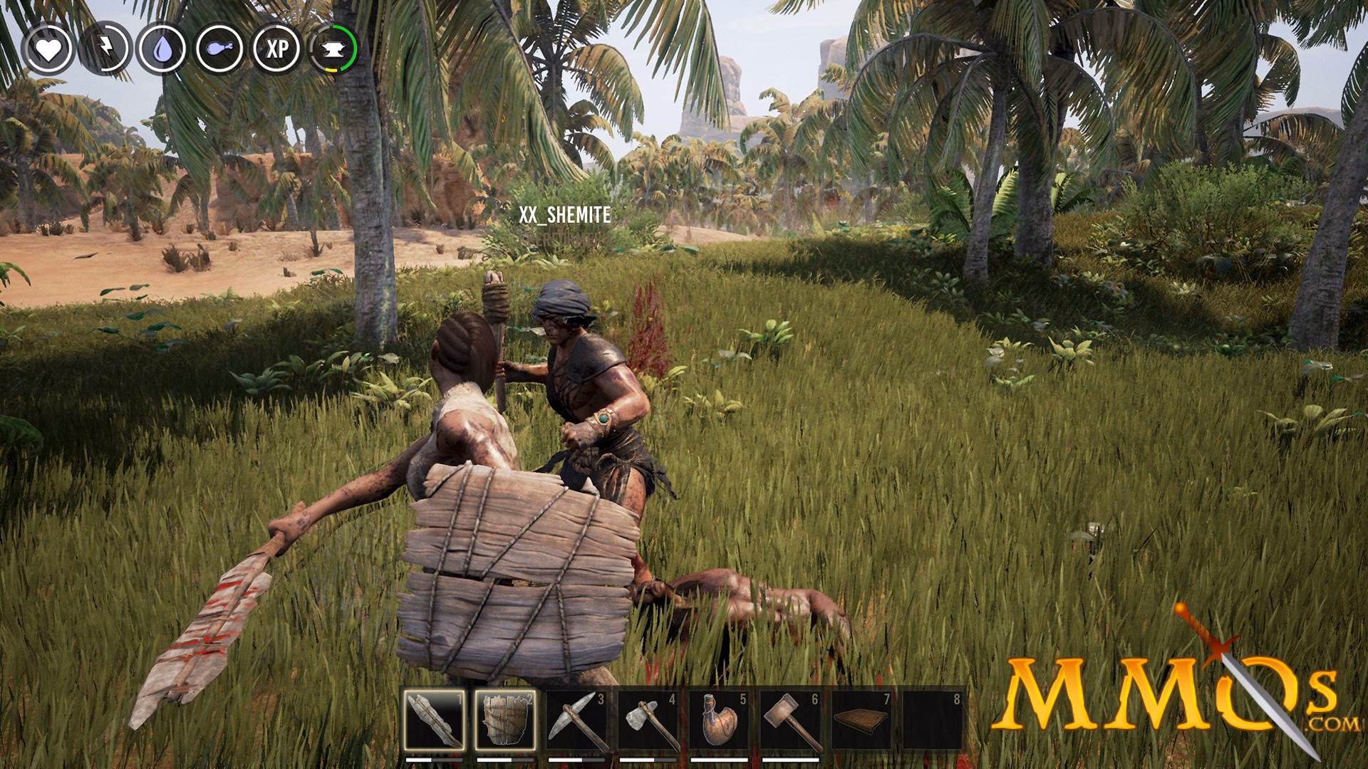 What is a survival MMO?
