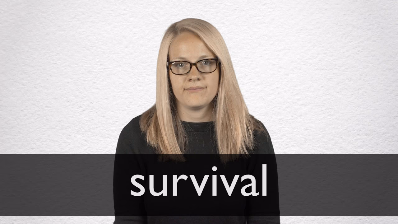 ¿Qué es Survival International?