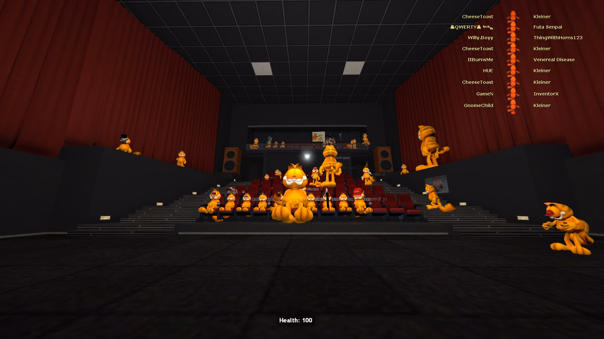 What can you do at Swamp cinema?