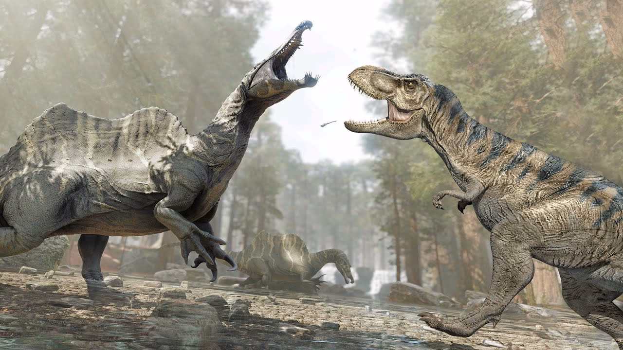 Is Spinosaurus bigger than Tyrannosaurus?