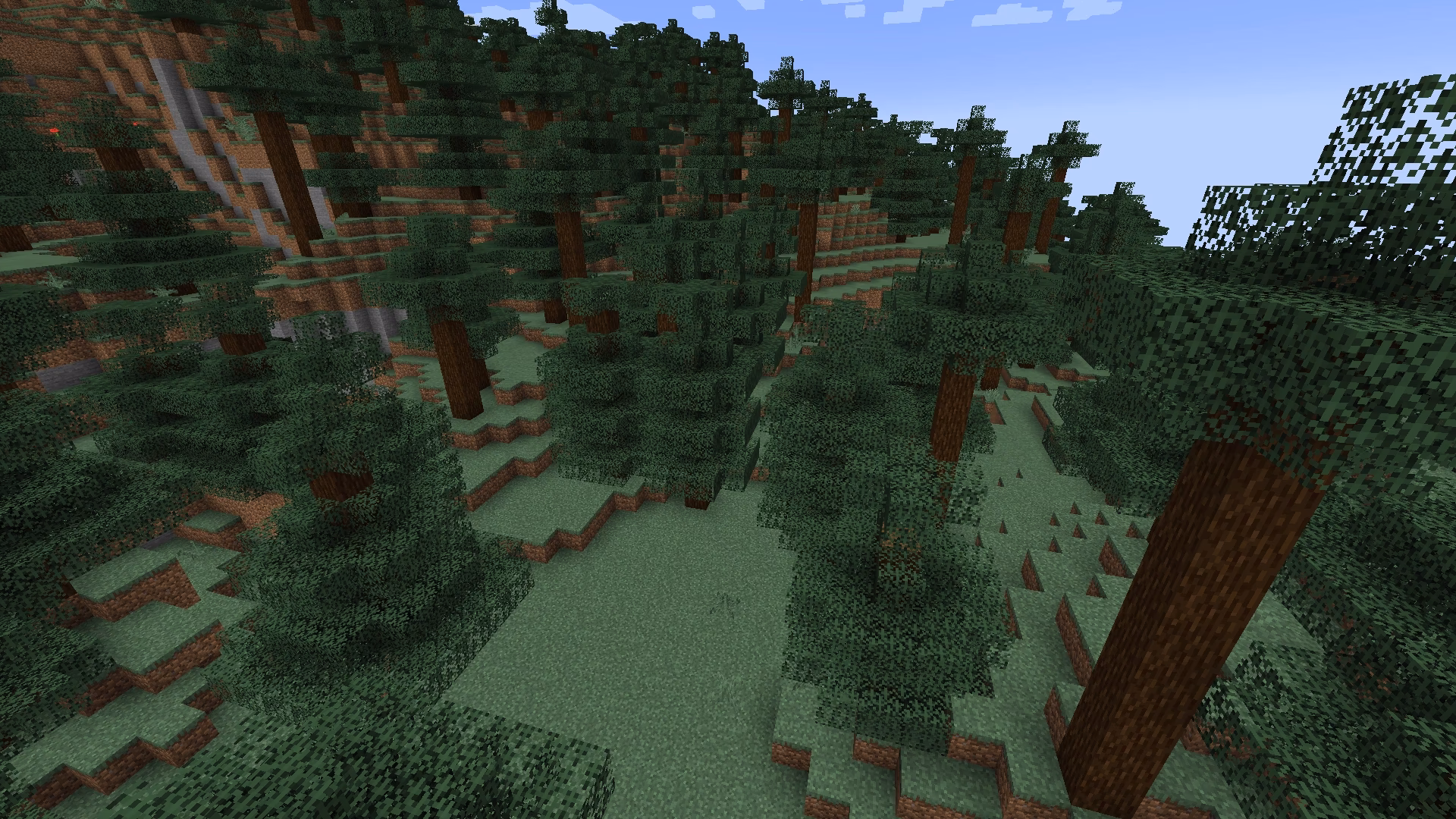 How do you find a taiga biome in Minecraft?