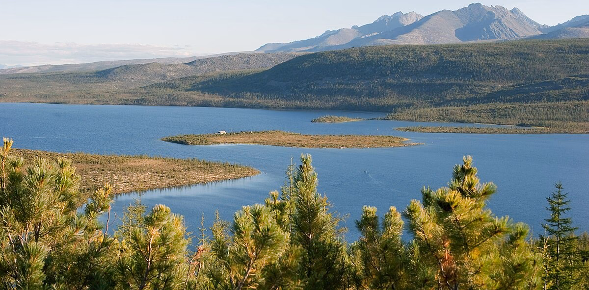 What is a Wild Taiga?
