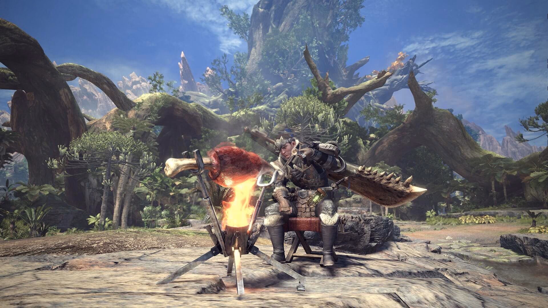 What is a tailraider Safari?