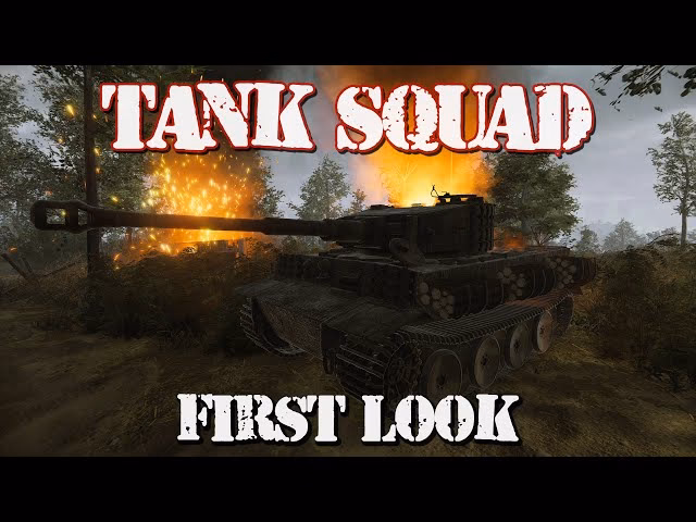 How old do you have to be to play tank squad?