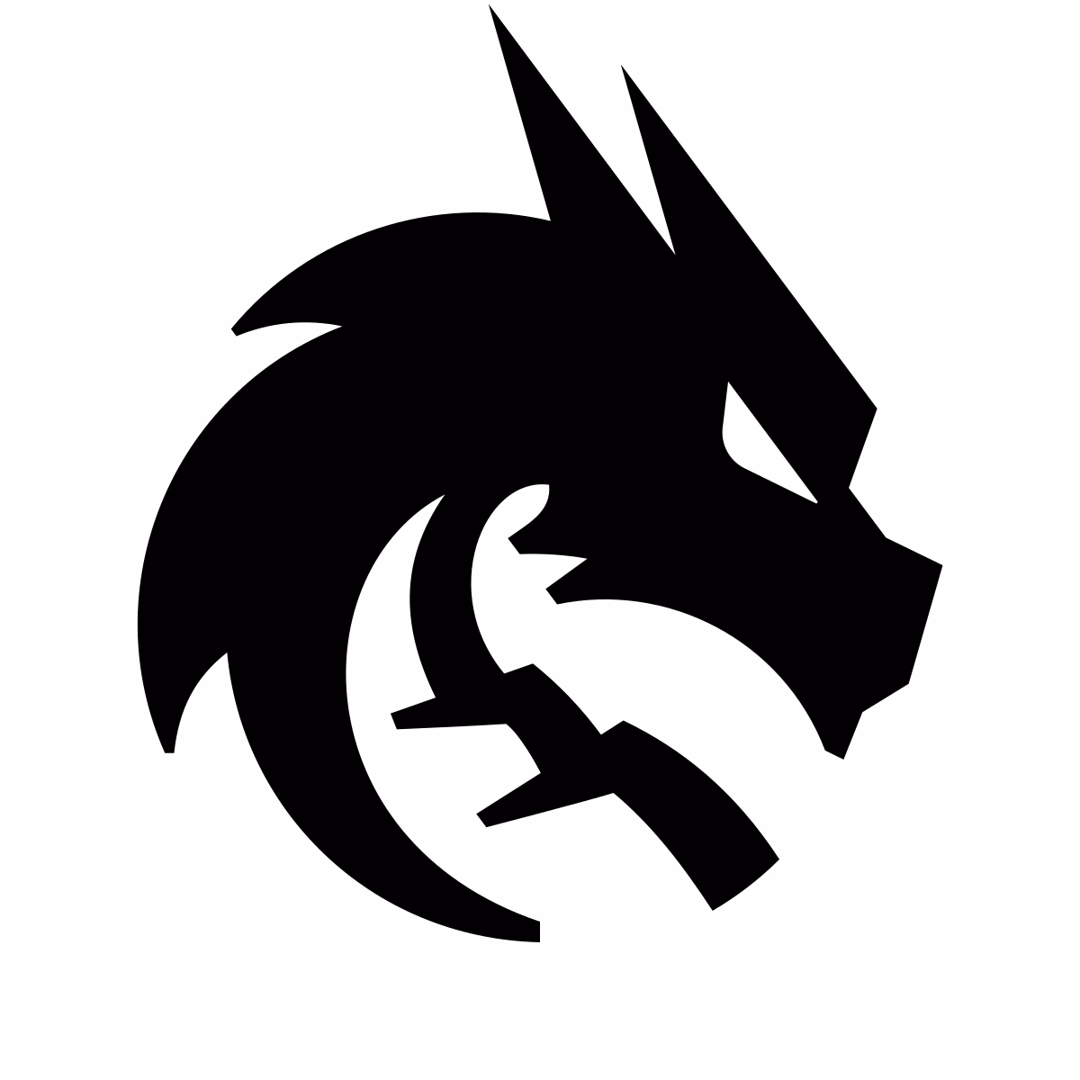 Where is team spirit based?