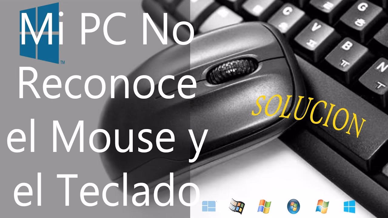 ¿Por qué mi teclado y ratón no funcionan?