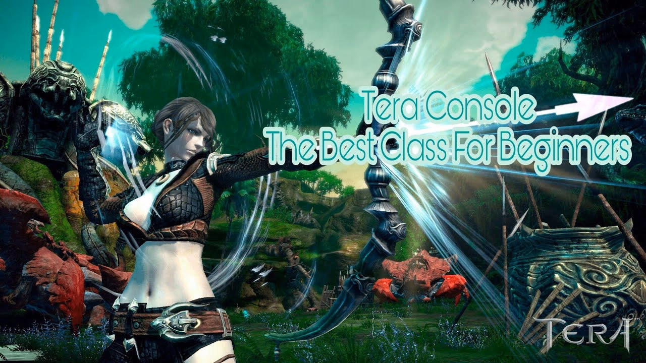 How do I choose the right class in Tera?