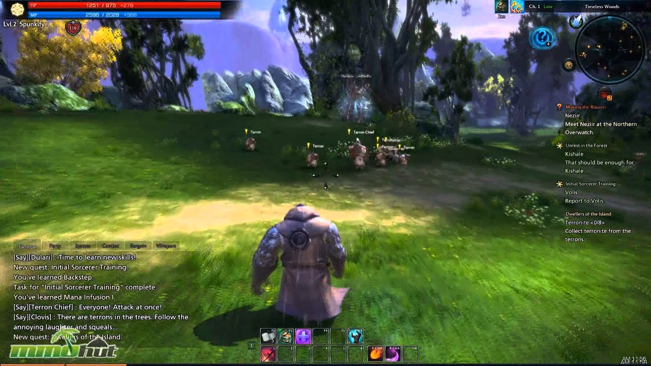 What is Tera MMORPG?