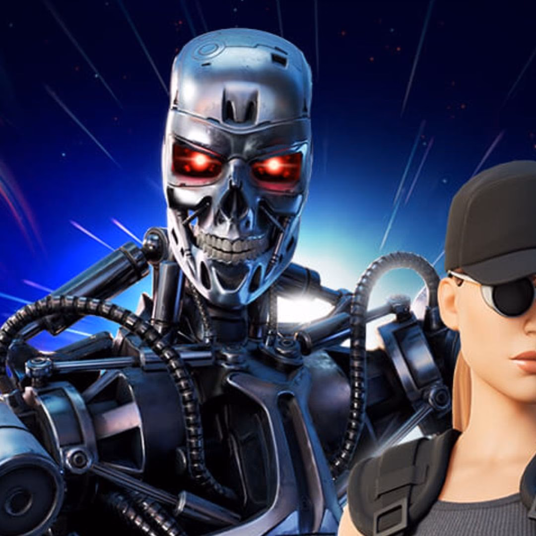 What is the Terminator?