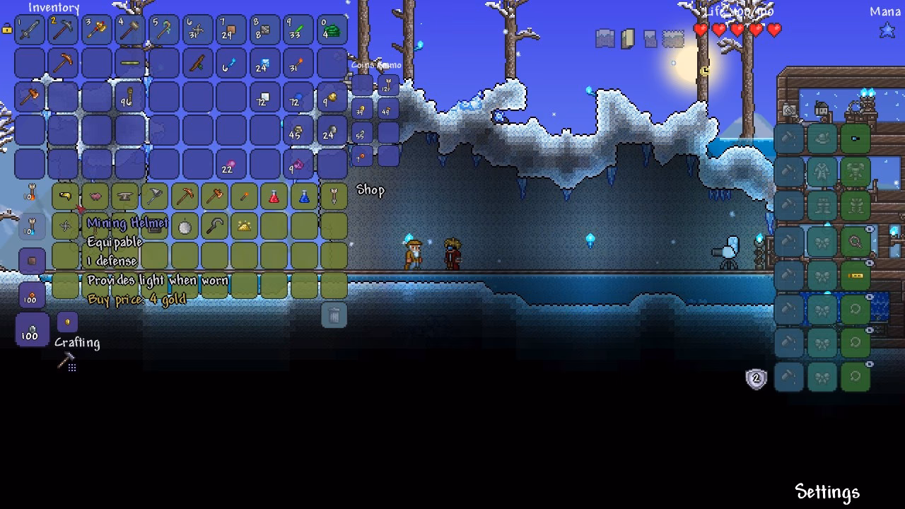 ¿Qué es Terraria?