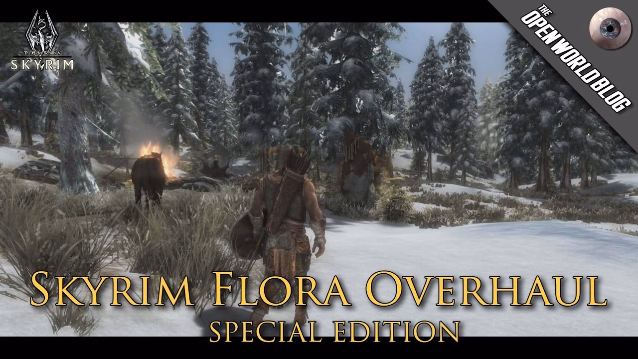 What is the difference between tesv and skyrimse?