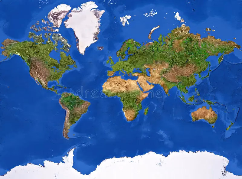 ¿Cuál es la textura de una planta?