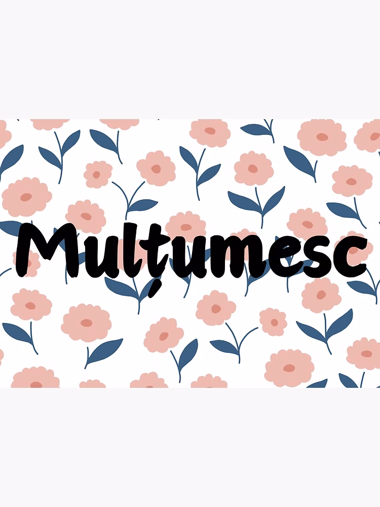 How do you thank a Romanian language teacher?